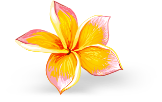 Hawaii Travel Mental Health